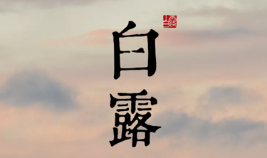 orange橘子平台·(中国区)官方网站