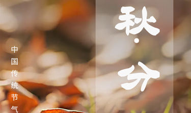 orange橘子平台·(中国区)官方网站