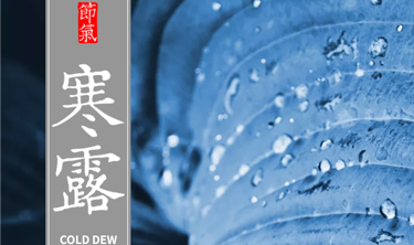 orange橘子平台·(中国区)官方网站